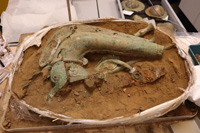 Bronze carnyx discovered in Norfolk. Picture from Eastern Daily Press 7th January, 2026.