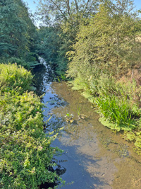 July 2025 saw River Lark very low at Tollgate Bridge area.